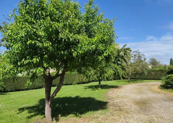 Appartement Sous Le Chateau *